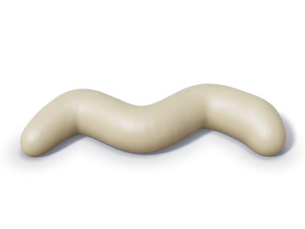Illustration of pale or clay stool